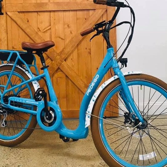 Dragonfly Summer Pedego Twin Cities