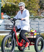 Load image into Gallery viewer, Emojo Trike - Bison Pro (foldable/fat tires)