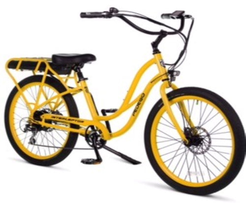 Interceptor Step Thru - State of MN eBike