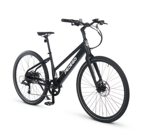Avenue Step Through - State of MN eBike