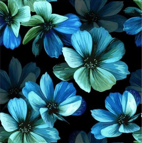 Blue Pansy Spring