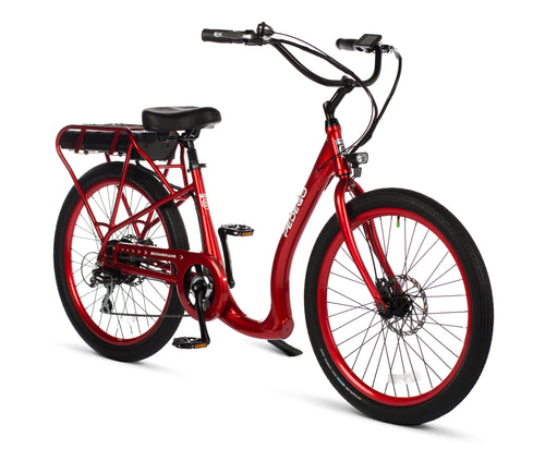 Boomerang - State of MN eBike