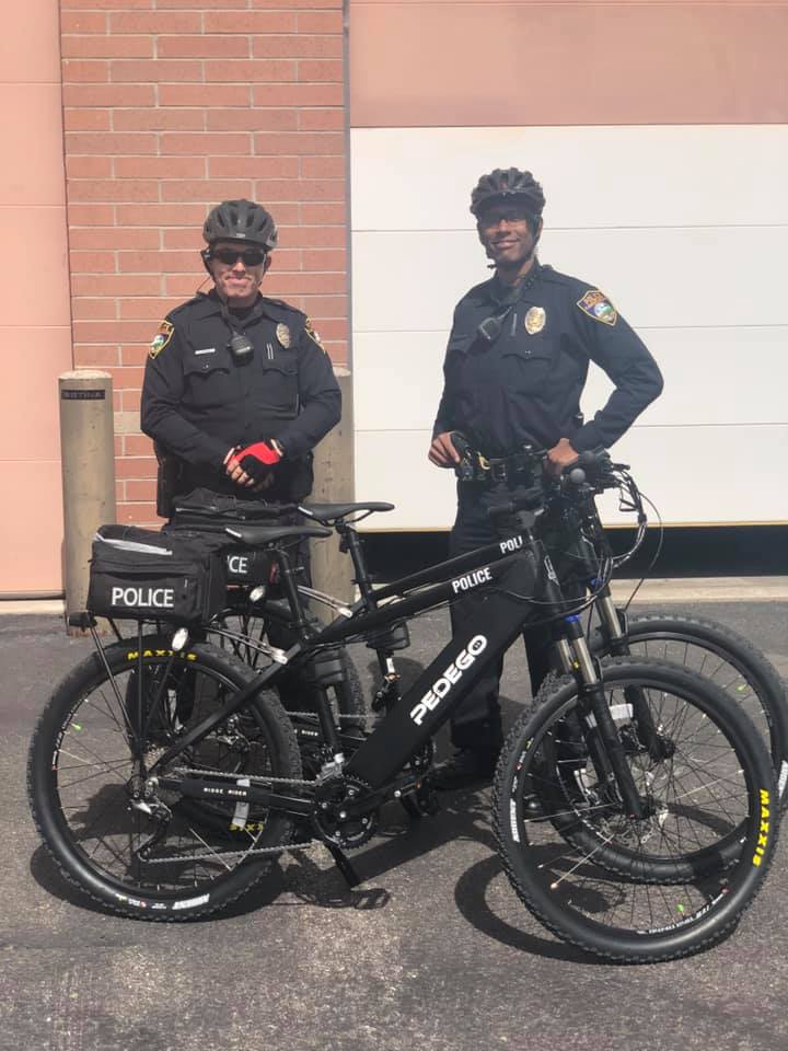 Ridge Rider - State of MN eBike – Pedego Twin Cities