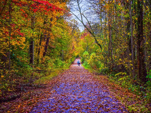 FALL COLORS TOUR! Pedego Day Tour 2022 6 - Saturday, October 8, 1:00 PM - Hyland/Shakopee (MODERATE) - 20 miles